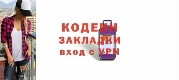 молекула духа Ельня