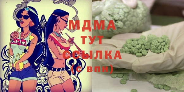 молекула духа Ельня