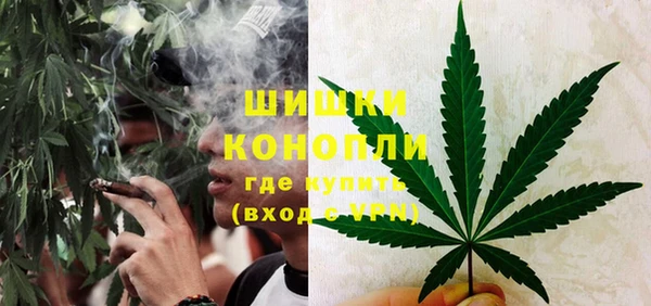 молекула духа Ельня